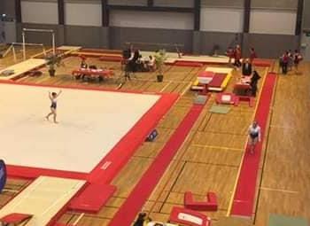 Championnat de gymnastique, équipes féminines le 9 et 10 mars 2019 à Nevers à la Maison des Sports