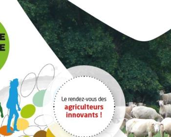 Affiche de l'opération Innov'action ovine dans la Nièvre pour la saison septembre et octobre 2019